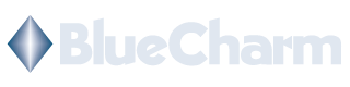 BlueCharm Logo - Custom Website Design - Valencia, CA